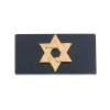 階級(官科)領章（海軍金屬領章）