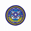海軍彩色團體臂章