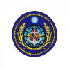 海軍彩色團體臂章