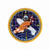 海軍彩色團體臂章