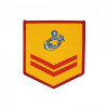 士官兵階級臂章（彩色）