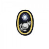 陸戰大帽帽花-女軍官/士官/士官長/士兵